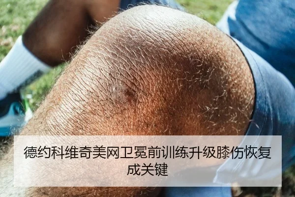 德约科维奇美网卫冕前训练升级膝伤恢复成关键